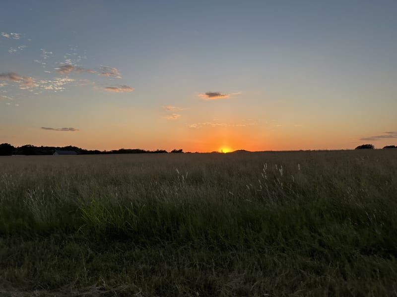 sunset-field